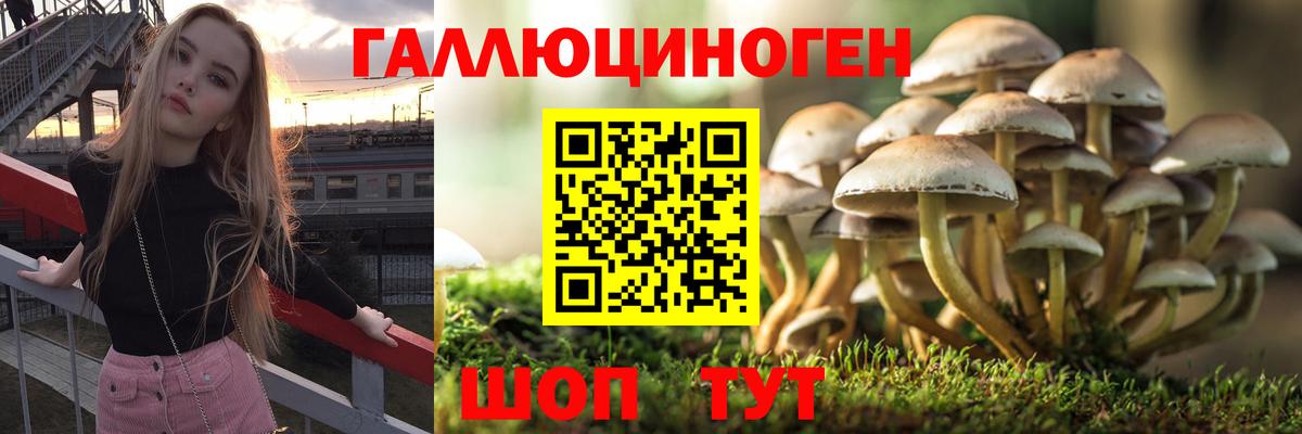 Галлюциногенные грибы мухоморы  Вход с VPN  Нижнекамск 